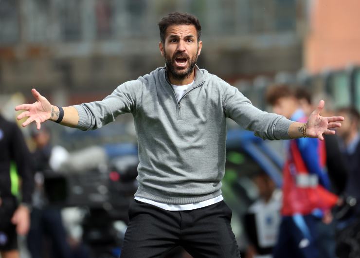 Cesc Fabregas con le braccia larghe per protestare